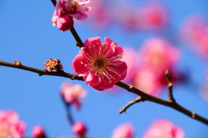 ✿２月最後の週となりました✿